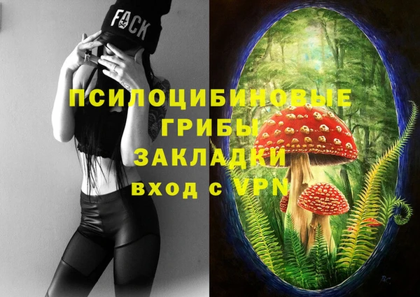 прущие крисы Алексеевка