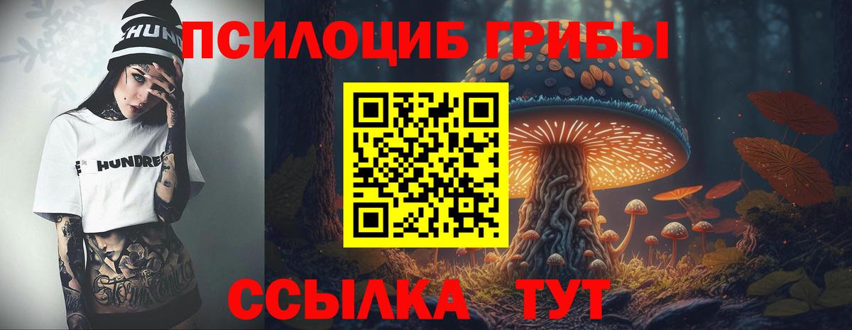 Псилоцибиновые грибы ЛСД Тейково