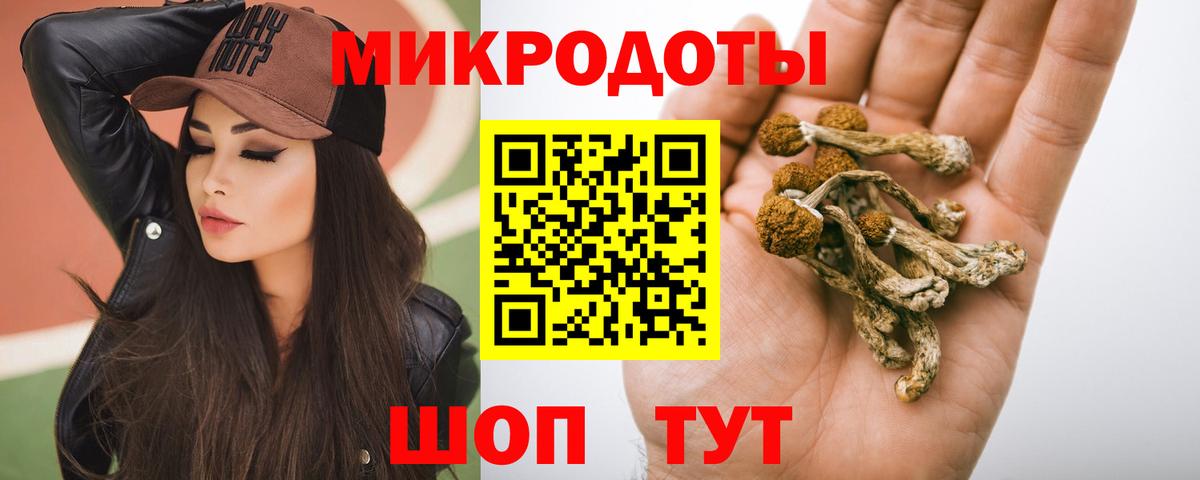 Псилоцибиновые грибы Psilocybe  Вход с VPN  Псилоцибиновые грибы Psilocybine cubensis  Тейково 